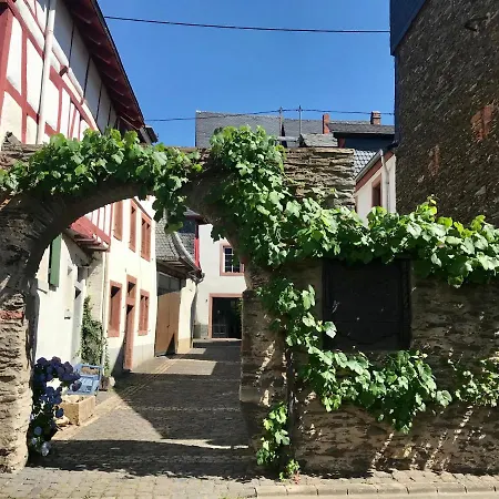 Alter Posthof * Лизер