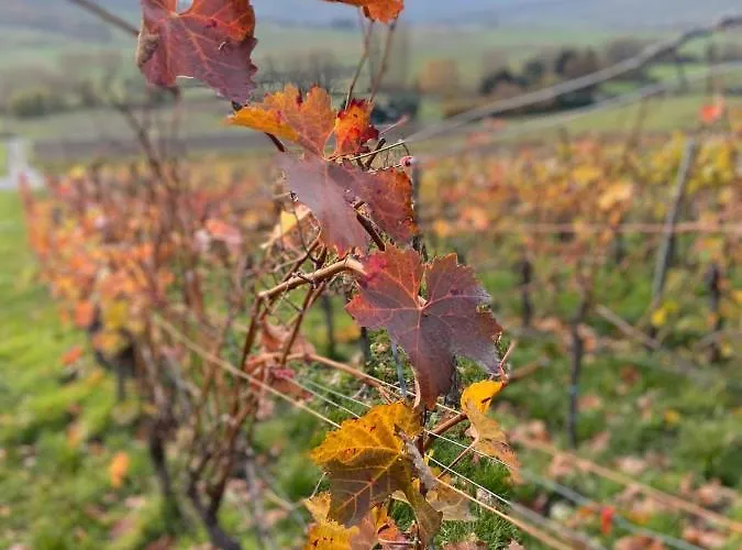 Alter Posthof * Lieser