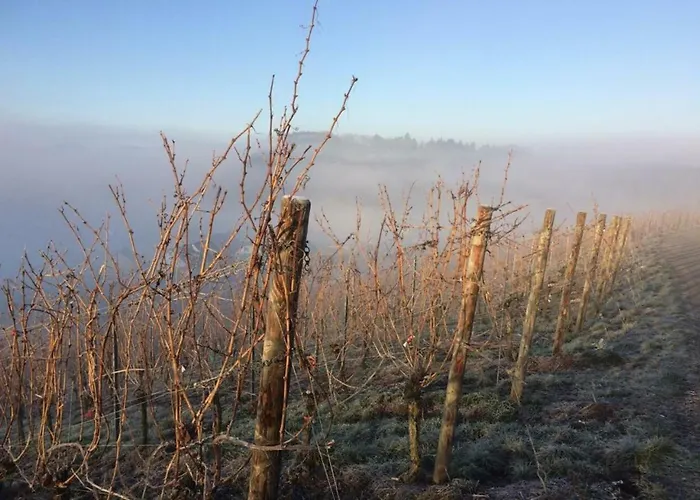 Nyaraló Alter Posthof